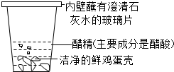 Stellantis专利：用鸡蛋壳制成更高效、雨天性能更好的轮胎